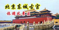 日韩美女搞逼中国北京-东城古宫旅游风景区